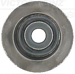 Seal Ring, valve stem